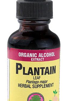 NATURE S ANSWER - Plantain Leaf Extract - 1 fl. oz. (30 ml) on Sale