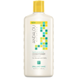 Andalou Naturals Brilliant Shine Conditioner Sunflower & Citrus 340mL Online Hot Sale