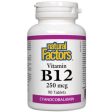 Natural Factors Vitamin B12  250mcg 90 Tabs Online Hot Sale