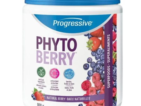 Progressive PhytoBerry Natural Berry 900g Online now