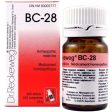 Dr Reckeweg BC-28  200 Tablets on Sale