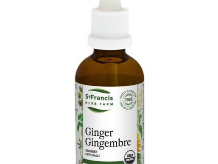 St. Francis Ginger 1:1 Extract 50ml For Discount