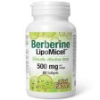 Natural Factors Berberine LipoMicel 500 mg 60 softgels on Sale