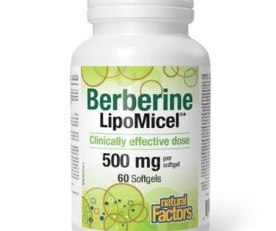 Natural Factors Berberine LipoMicel 500 mg 60 softgels on Sale