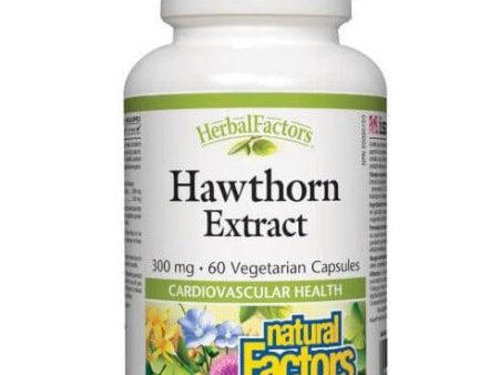 Natural Factors Hawthorn Extract 300mg 60 Veggie Caps Hot on Sale