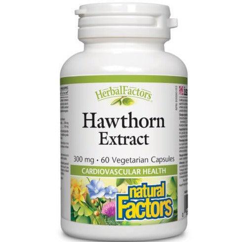 Natural Factors Hawthorn Extract 300mg 60 Veggie Caps Hot on Sale