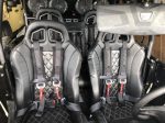 (Black) Carbon Edition Daytona Seats (With Harnesses) Hot on Sale