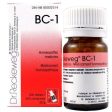 Dr. Reckeweg BC-1 200 Tablets Hot on Sale