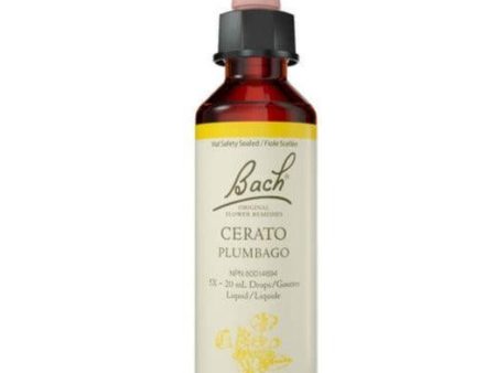 Bach Cerato 20mL Drops Liquid Online Hot Sale