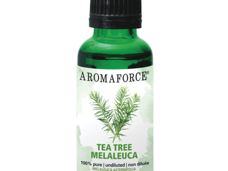 Aromaforce Essential Oil Tea Tree 30mL Online