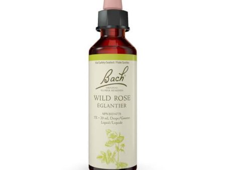 Bach Wild Rose 20mL Drops Liquid Online Sale