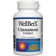 Natural Factors WellBetX Cinnamon Extract 150mg 60 Caps For Cheap