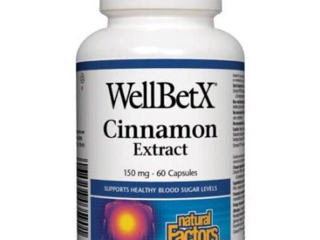 Natural Factors WellBetX Cinnamon Extract 150mg 60 Caps For Cheap