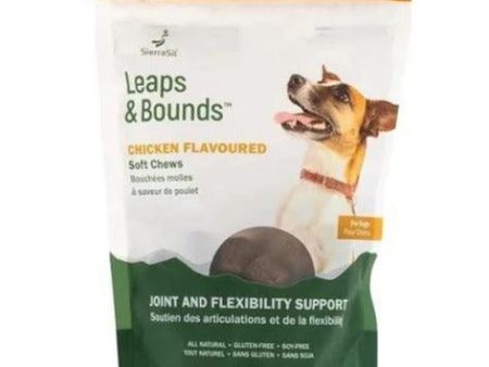 SierraSil Leaps and Bounds Chicken Flavoured Soft Chews for Dogs 300g Online now