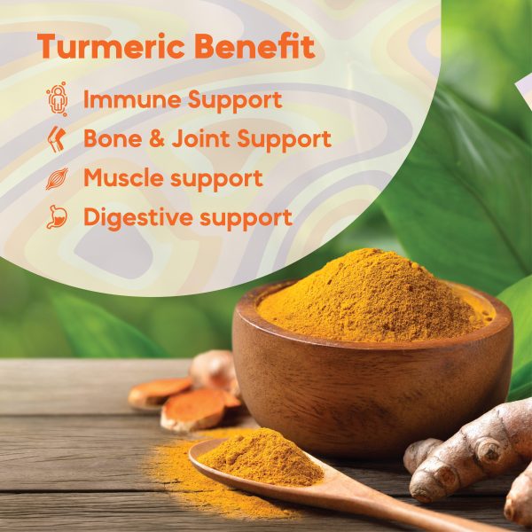 Curcumin Gummies - Trumeric Supplement for Joint Support - 60 Gummies For Sale