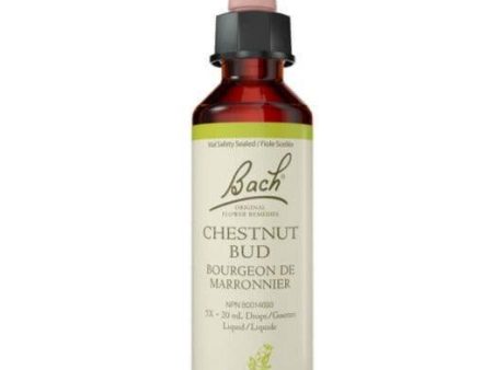 Bach Chestnut Bud 20mL Drops Liquid Sale